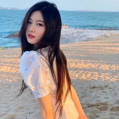 护花大臣